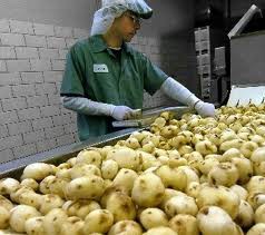 FGV: alimentos e transportes ajudam a conter IPC-S