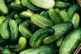 Bactéria letal em vegetais mata ao menos 10 na Europa