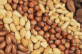 Reportagem para o portal TERRA- Frutas oleaginosas